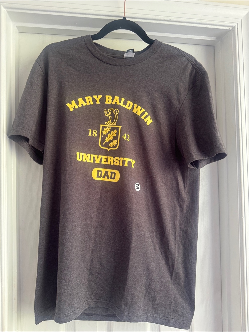 Mary Baldwin University Dad Graphic T‑Shirt - Brown